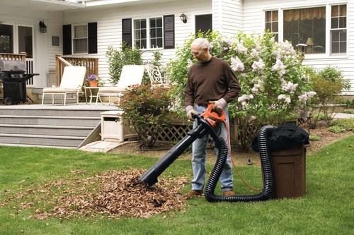 BLACK+DECKER - Aspirateur Souffleur Broyeur de feuilles filaire  3000 W  Volume daspiration  14 m3min  Capacit  50 L  4 accessoires - GW3050