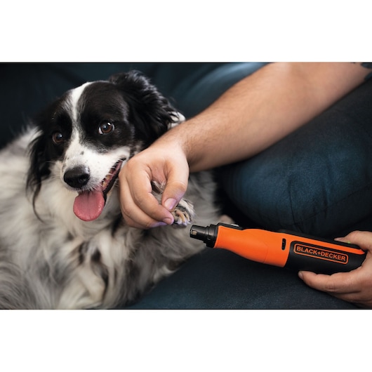 BLACK+DECKER BCRT8IK pet nail grinder used on dog’s paw, orange and black tool in hand.