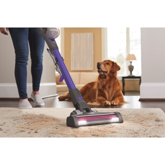 BLACKDECKER BDPSE1815P cordless stick vacuum cleaning carpet in living room near a dog.