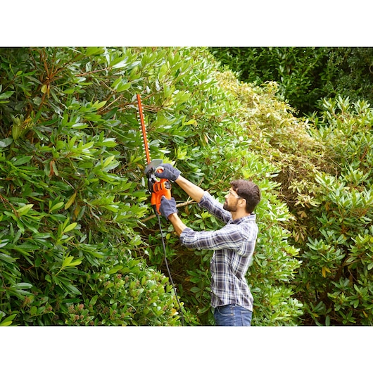 BLACKDECKER BEHT251 hedge trimmer used outdoors on tall bushes by a person wearing gloves.