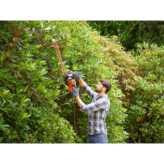 BLACKDECKER hedge trimmer BEHTS501 used outdoors to trim tall green bushes.