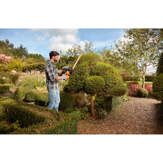 BLACKDECKER BEHTS501 hedge trimmer in use trimming a shaped shrub in a landscaped garden.